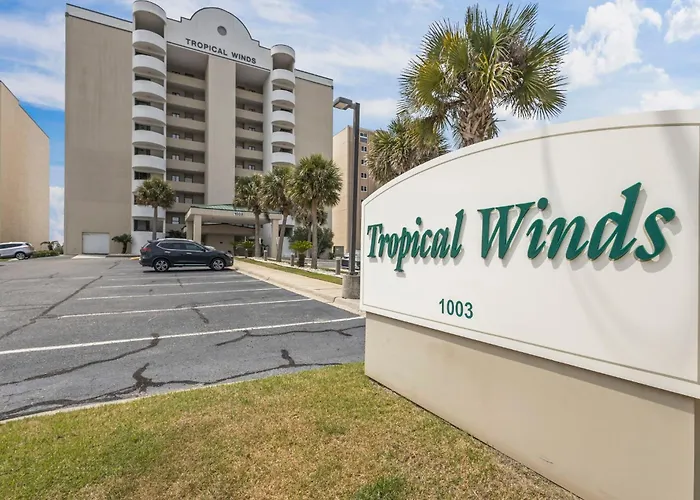 Tropical Winds 102